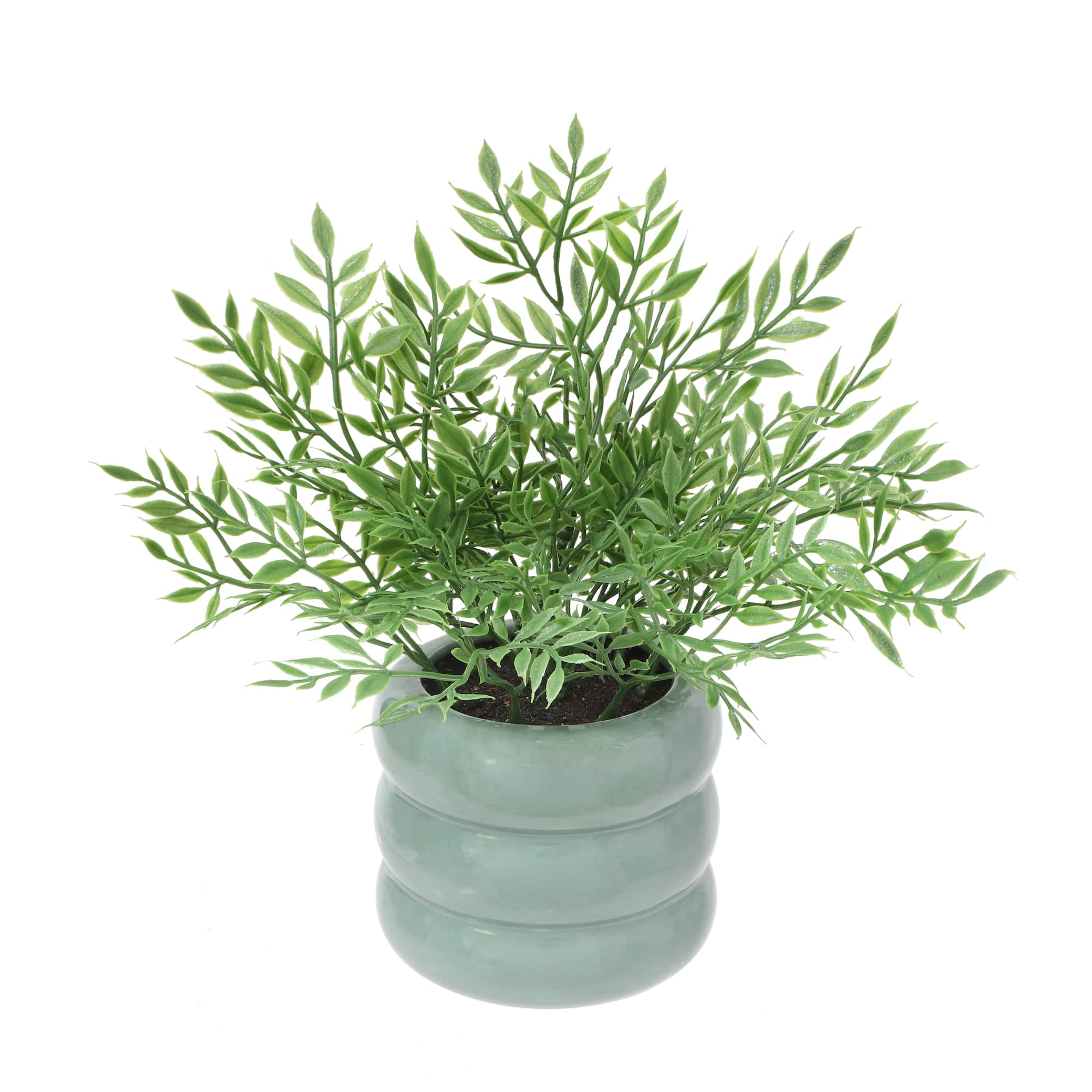 9.5" Mini Ficus in Green Bubble Pot by Ashland®